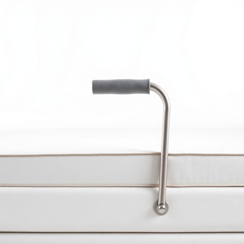 Bed Rail Assist Handle
